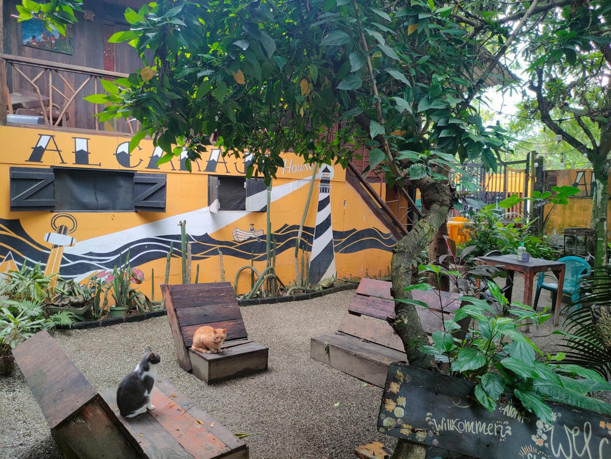 Montañita Al Carajo House Backpackers Hostホステル エクステリア 写真